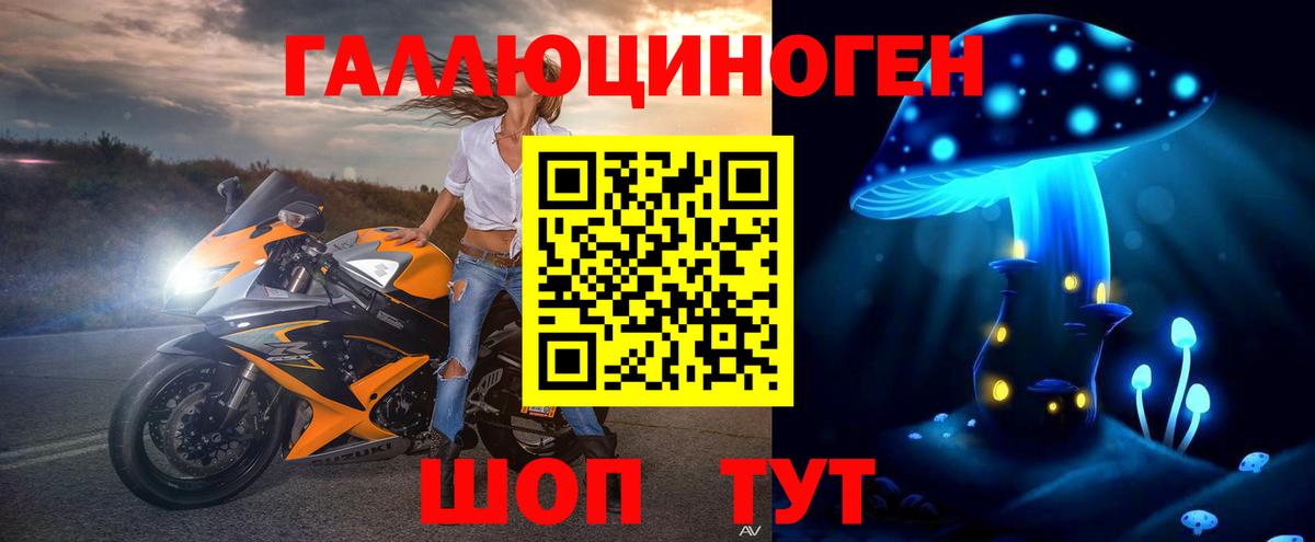 Галлюциногенные грибы MAGIC MUSHROOMS Сыктывкар