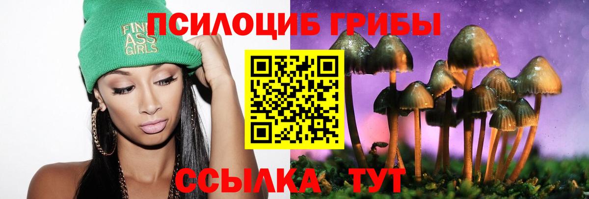 Сыктывкар  Псилоцибиновые грибы Cubensis  Галлюциногенные грибы Cubensis  Вход с VPN 